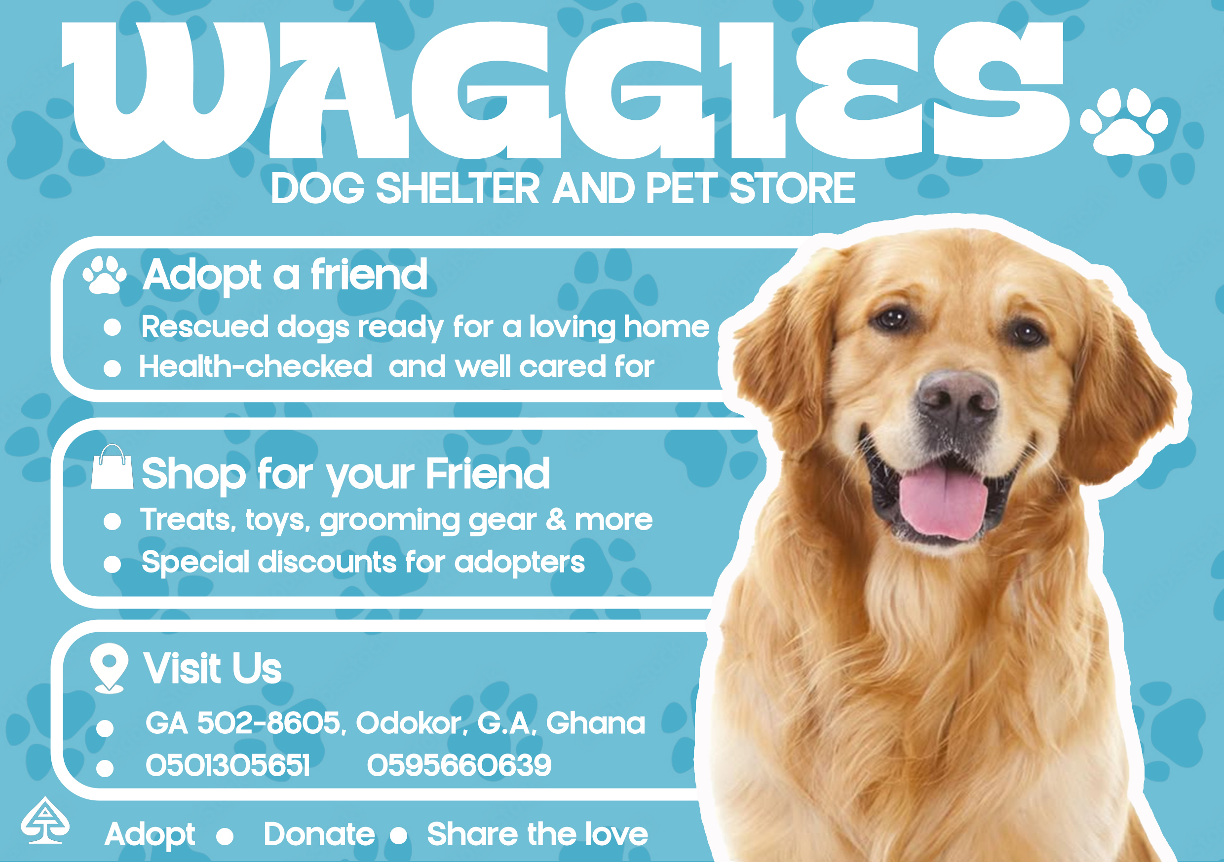 Poster design for a dog shelter and pet store